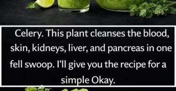 659127625 975946351772150 8298672499149416662 n