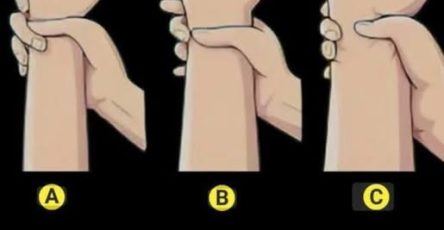 659155528 924176776996453 5290481990410861033 n