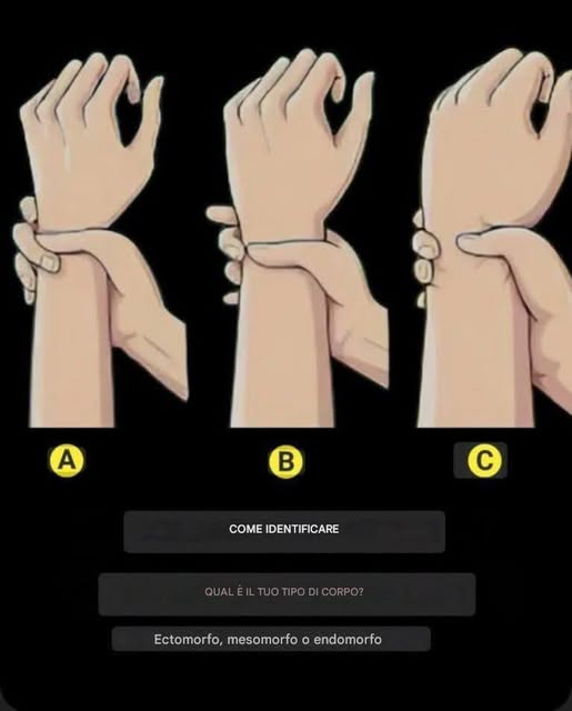 659155528 924176776996453 5290481990410861033 n