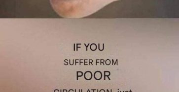 659271523 2044862723040045 4795070037056602285 n