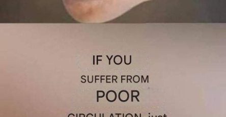 659271523 2044862723040045 4795070037056602285 n