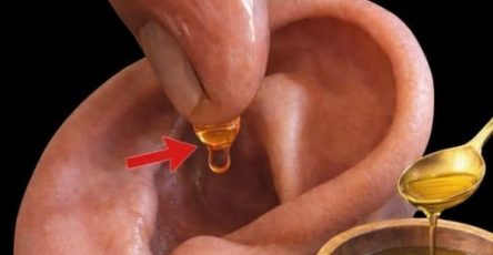 659584351 2019107722374984 8403016510931461230 n