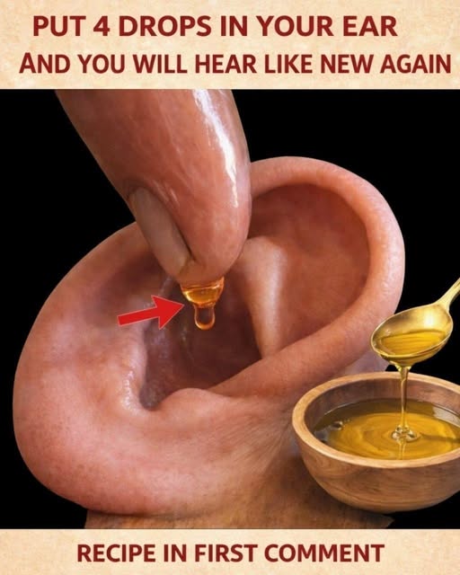 659584351 2019107722374984 8403016510931461230 n