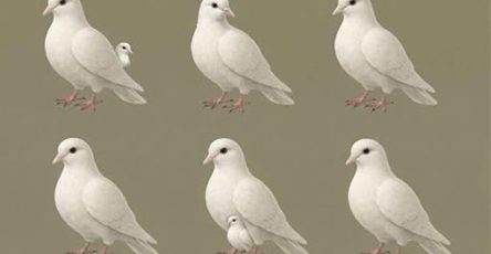 659598988 2805371153160237 8849325707953276750 n