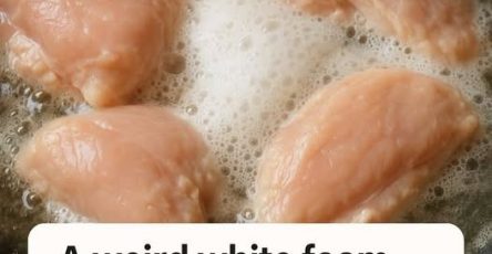 659628100 2510460742740822 8037861248828467127 n