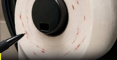 659764504 2807357562961596 2392382528532291711 n