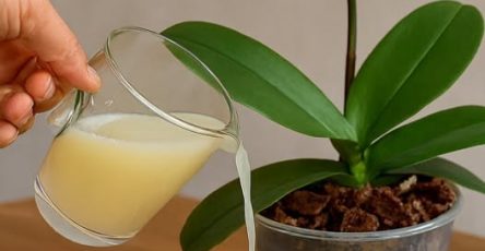 659773981 122238221714103214 3245733433646062887 n