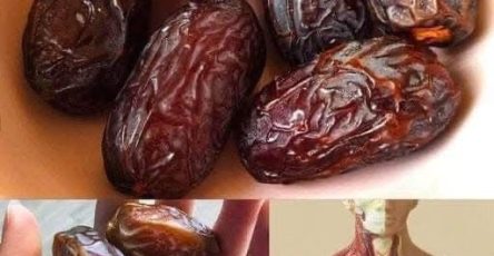 659773990 1514648860227812 540126057605505234 n