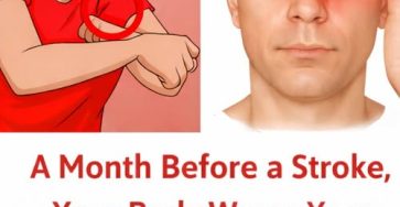 660135617 1572388097168681 2848708043687762621 n