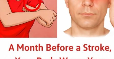 660135617 1572388097168681 2848708043687762621 n