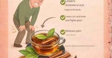 660366595 1962415664359078 4055252500938805179 n