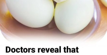 660396461 874415492280266 5978359386653951122 n