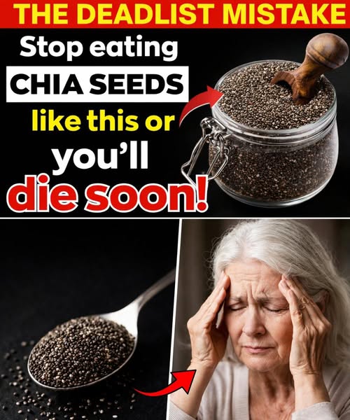 660420872 122158666496657363 3671730230584485009 n