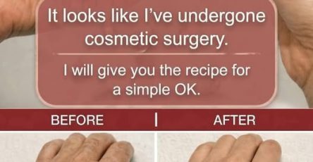 660487703 1347680867391753 8157293263288456082 n