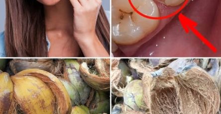 660740479 2133226334103740 2873864835756719659 n