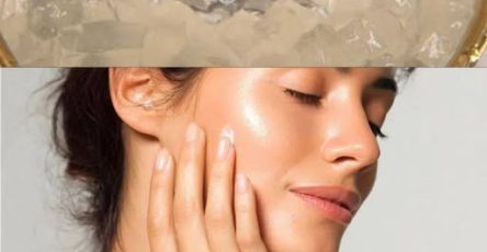 660742770 2401393823672485 7889121999746401994 n