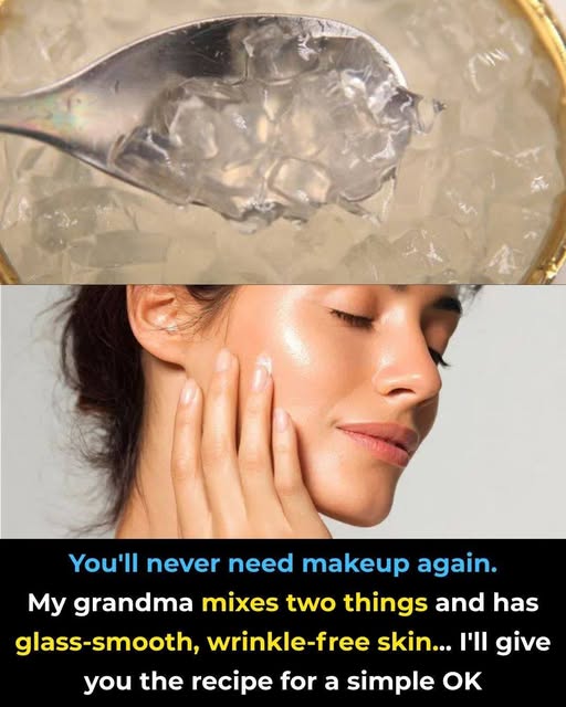 660742770 2401393823672485 7889121999746401994 n