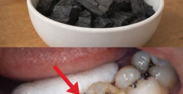 660938823 122256140036181557 6005901511227067706 n