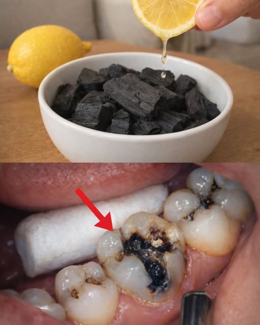 660938823 122256140036181557 6005901511227067706 n