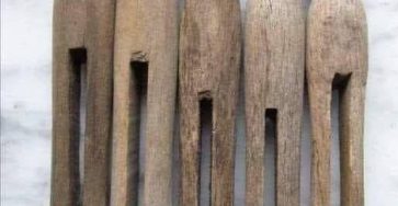 660987497 122120147415204740 7952169900357049758 n