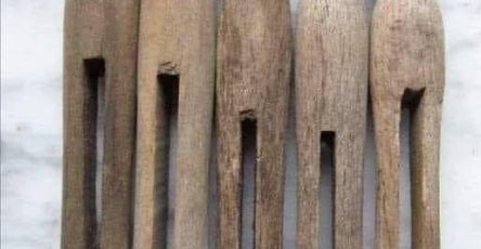 660987497 122120147415204740 7952169900357049758 n