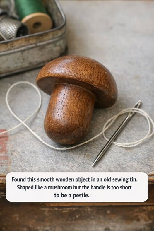 661183953 924256740321790 4061601465599895348 n