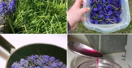 662015896 122120146485204740 8612847141294346202 n