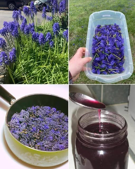 662015896 122120146485204740 8612847141294346202 n