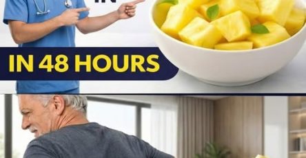 662375237 2046276259565358 2187490495678174707 n