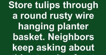 662496702 1355334589656172 2332121547787205649 n