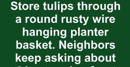 662496702 1355334589656172 2332121547787205649 n