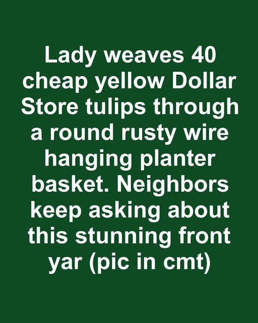 662496702 1355334589656172 2332121547787205649 n