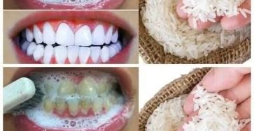 662566170 875885172133298 4417997462355779364 n