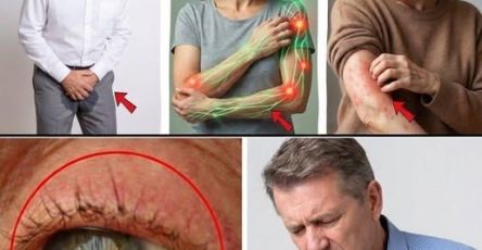 662584825 819992981144019 812128003351135986 n