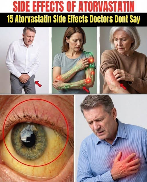 662584825 819992981144019 812128003351135986 n