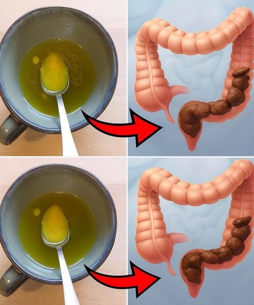 662599887 1485724466230310 2708889113008180019 n