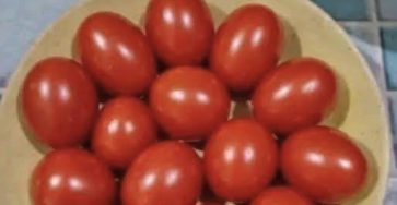 662615859 122095096226778090 5199634655815861377 n