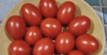 662615859 122095096226778090 5199634655815861377 n