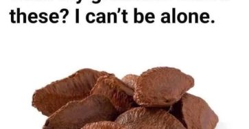 662625687 122095255406778090 402481311659429339 n