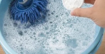 662734606 961944559622149 1188770517144784612 n