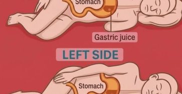 663229612 122103835232888401 8897105162278683590 n