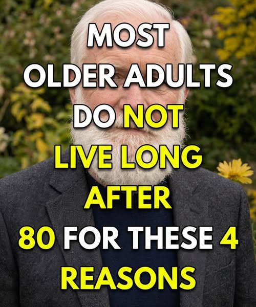 663254121 943209691444775 6215876562720403165 n