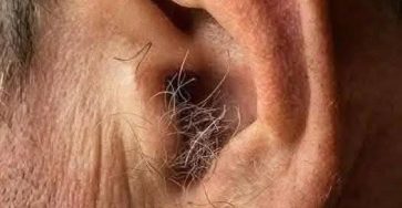 663257079 122098874630849583 6462117126087858672 n