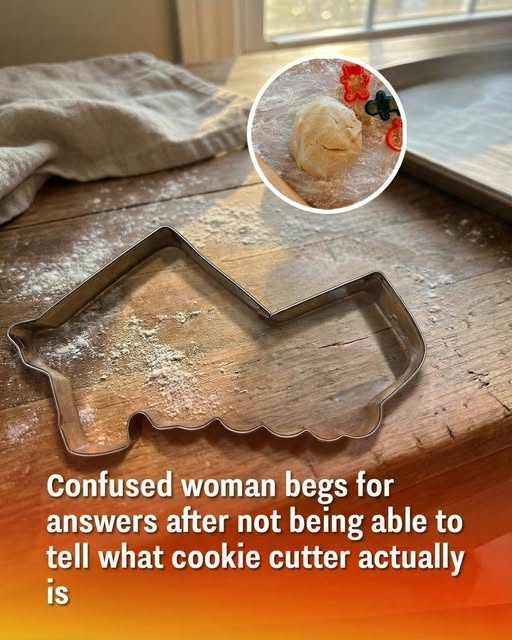 665365615 2406440516501149 4911205478265924540 n