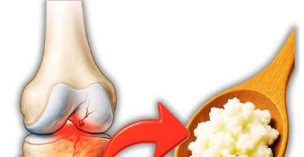 666070807 1514947616627853 6711411303317912623 n