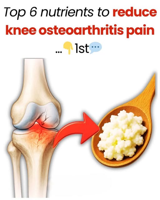 666070807 1514947616627853 6711411303317912623 n