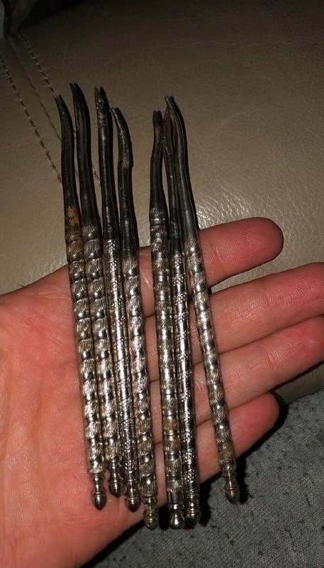 666081536 122095079702778090 6608731530958581310 n