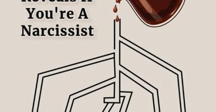 666229627 927452316668899 6510331857679771229 n