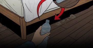 666581805 1615734009636708 4966226337856955512 n