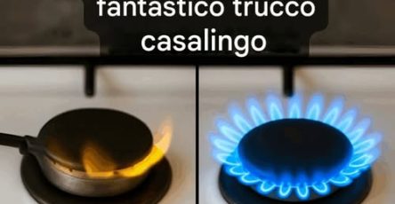 667012526 955378377449509 1773546453272202479 n